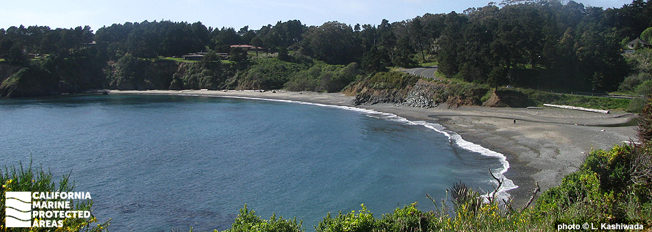 curved beach surrounded by wooded bluffs
